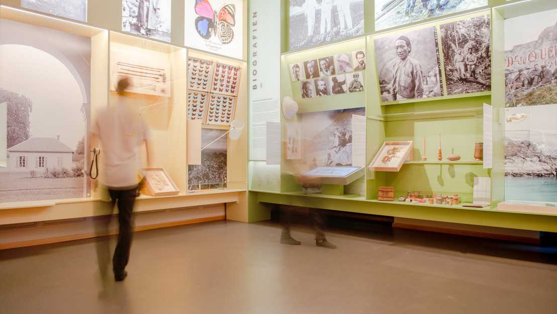 Ausstellungsraum extract