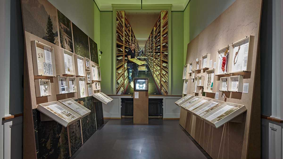 Enlarged view: View of the extract exhibition room